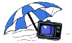 Custom TV Covers Logo